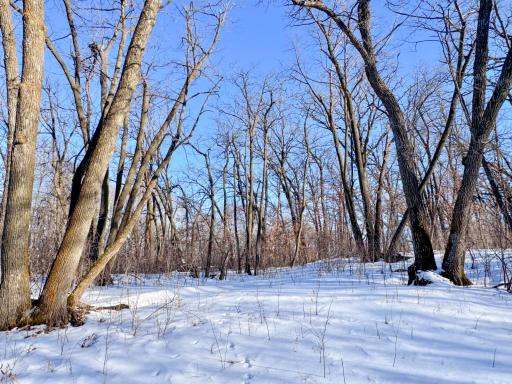 XXXXX German Lake Road, Underwood, MN 56586