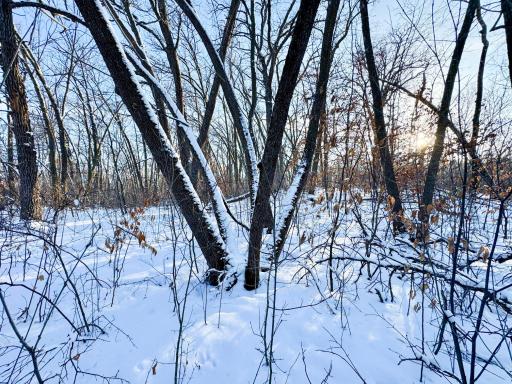 XXXXX German Lake Road, Underwood, MN 56586