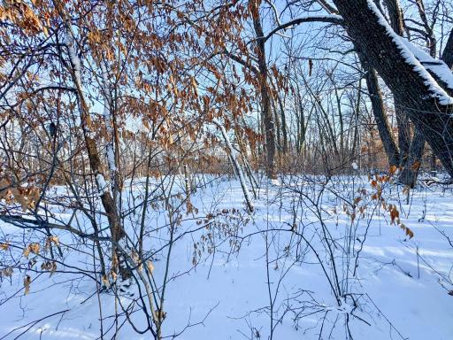 XXXXX German Lake Road, Underwood, MN 56586