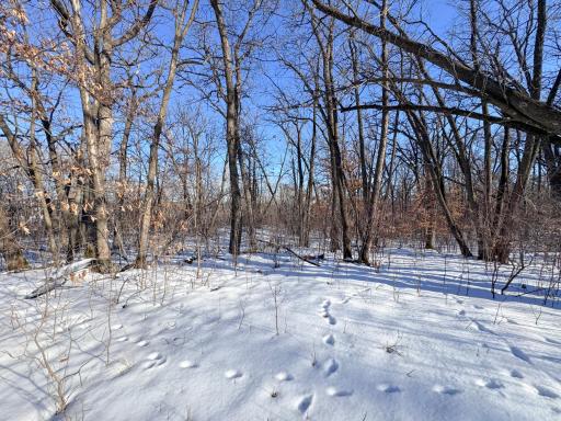 XXXXX German Lake Road, Underwood, MN 56586