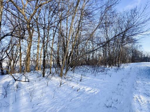 XXXXX German Lake Road, Underwood, MN 56586