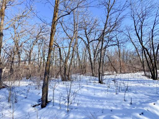 XXXXX German Lake Road, Underwood, MN 56586