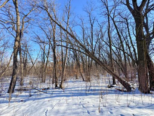 XXXXX German Lake Road, Underwood, MN 56586