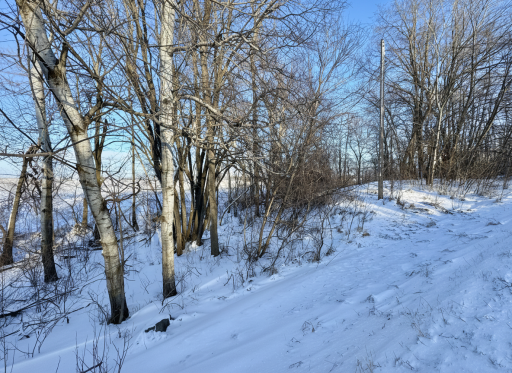 XXXXX German Lake Road, Underwood, MN 56586