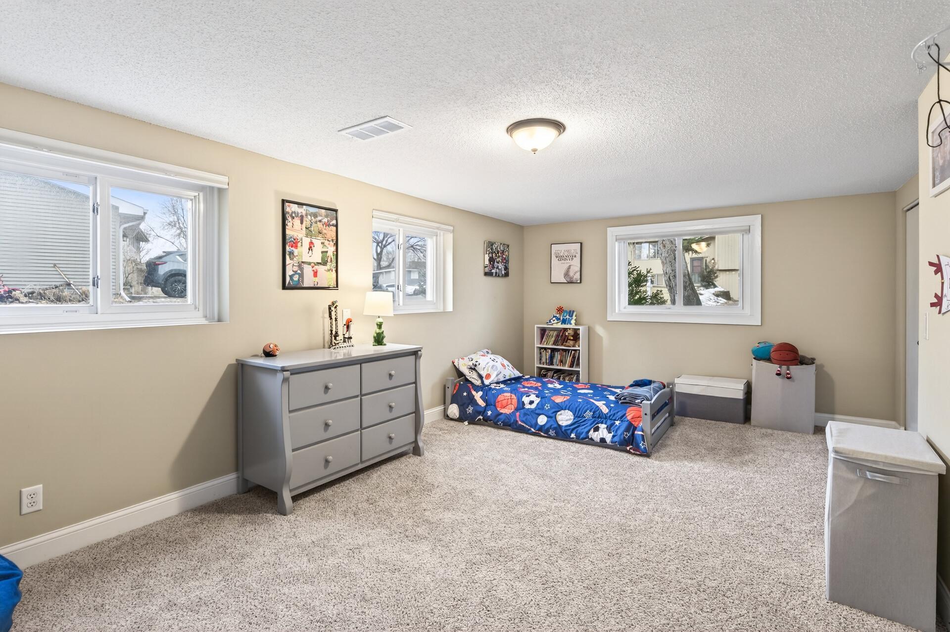Large Lower Level Bedroom