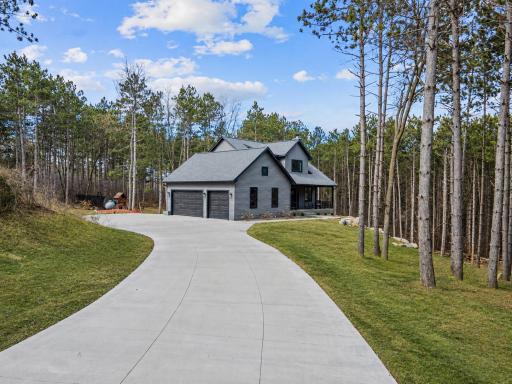 Long, curved driveway approaching the home through mature trees, creating a private setting