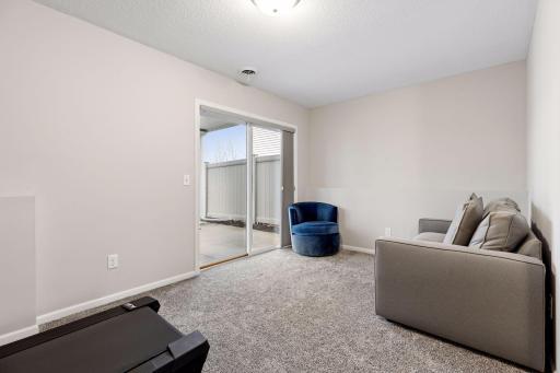 Lower level walkout from family room to concrete patio and backyard.