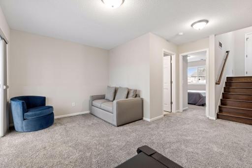 Lower level family room, 4th bedroom, 3/4 bath and laundry closet.