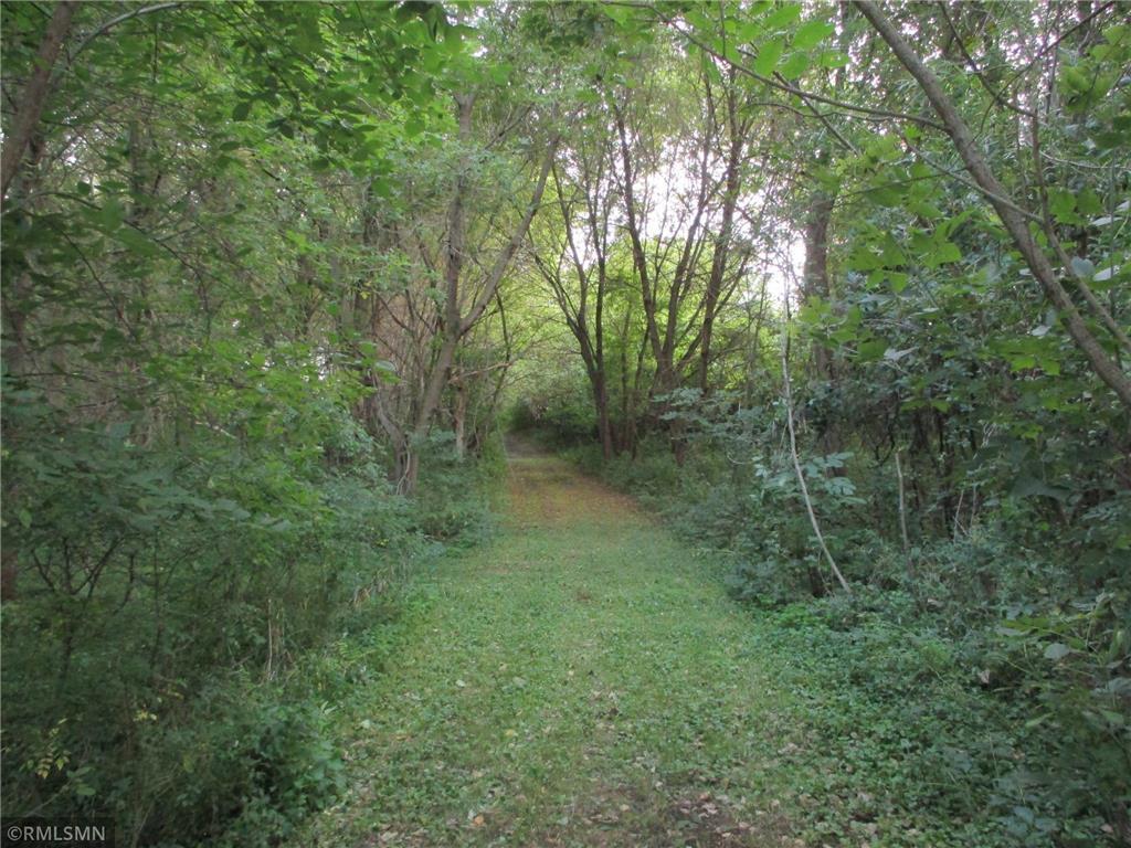 Photo 32