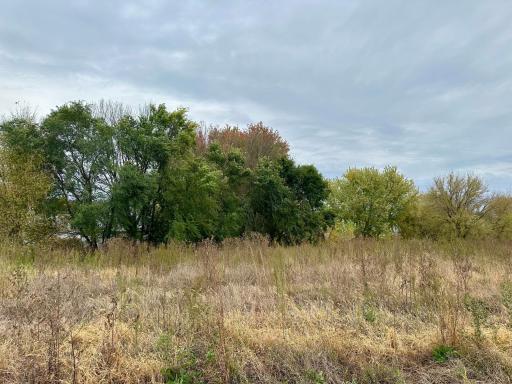 Imagine waking up to this backyard view! Home, yard, trail, public land. Can't get much better at this price point!
