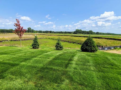 Beautiful views from the rear of the home overlooking a pond and open space.