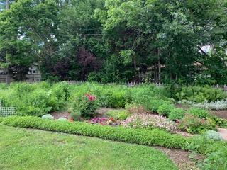Backyard flower garden