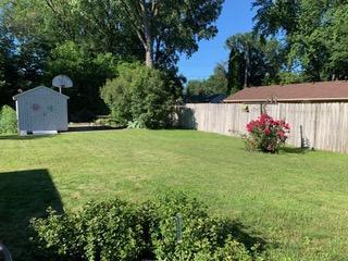 Summer picture - backyard