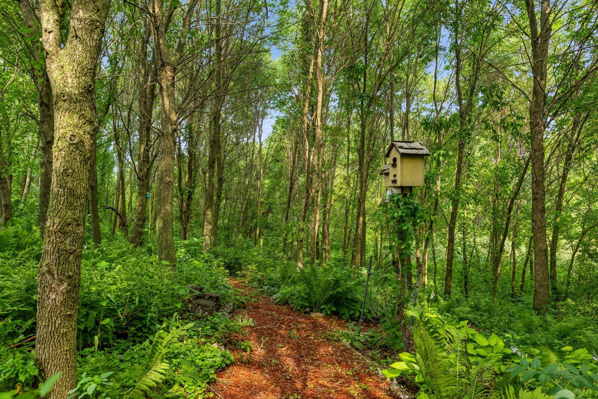 Designated trails that invite you to explore nature, observe local wildlife, and take in the surrounding beauty.