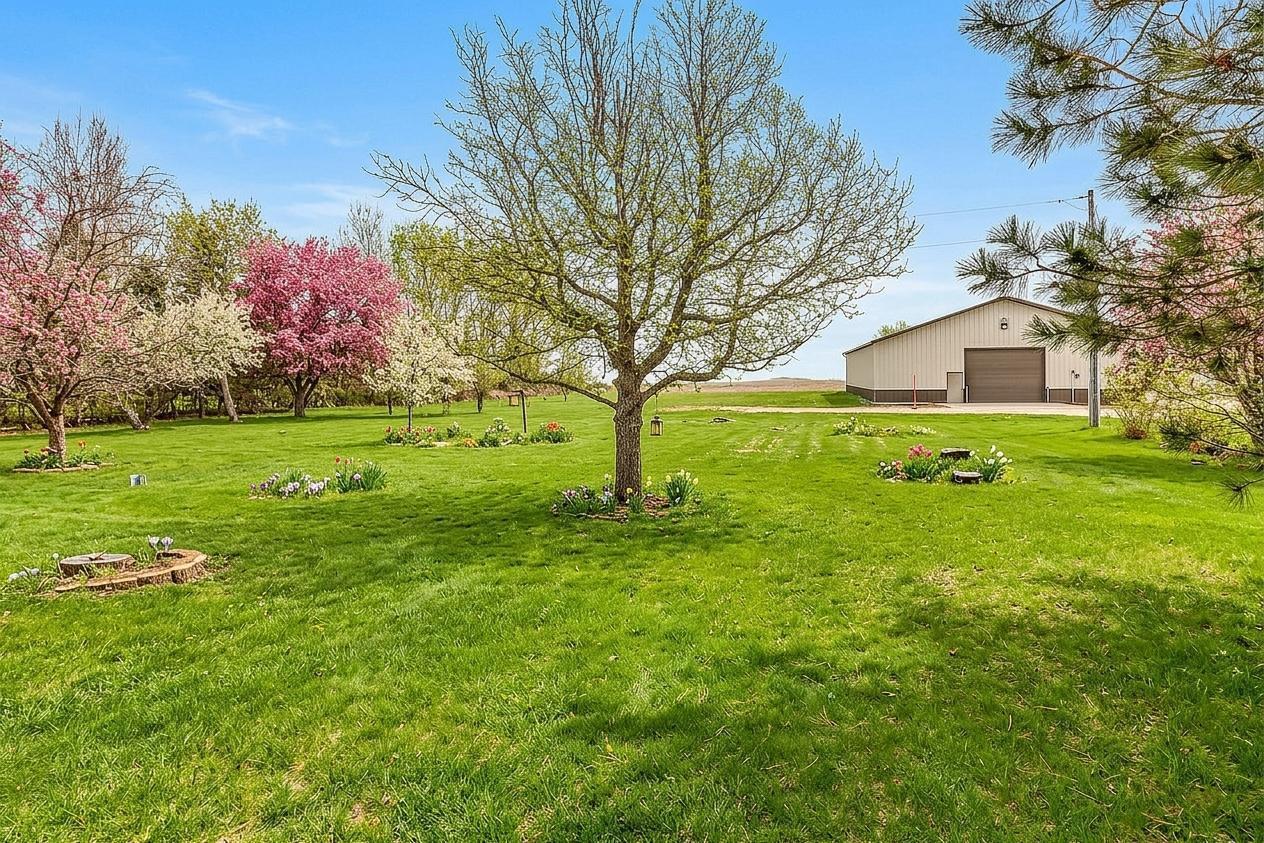 back yard to shed.jpg