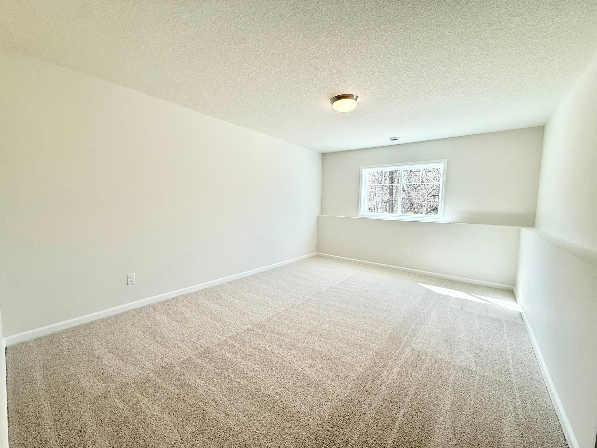 The lower level guest bedroom includes huge walk-in clost