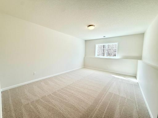 The lower level guest bedroom includes huge walk-in clost