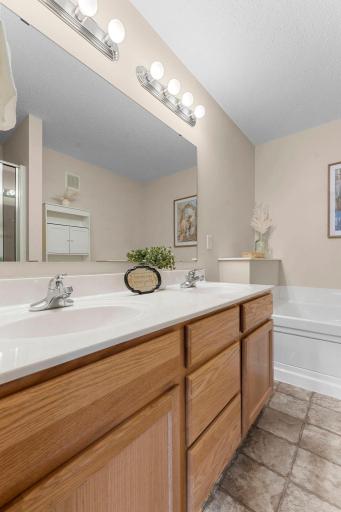6065 Manchester Avenue NE, Otsego, MN 55301