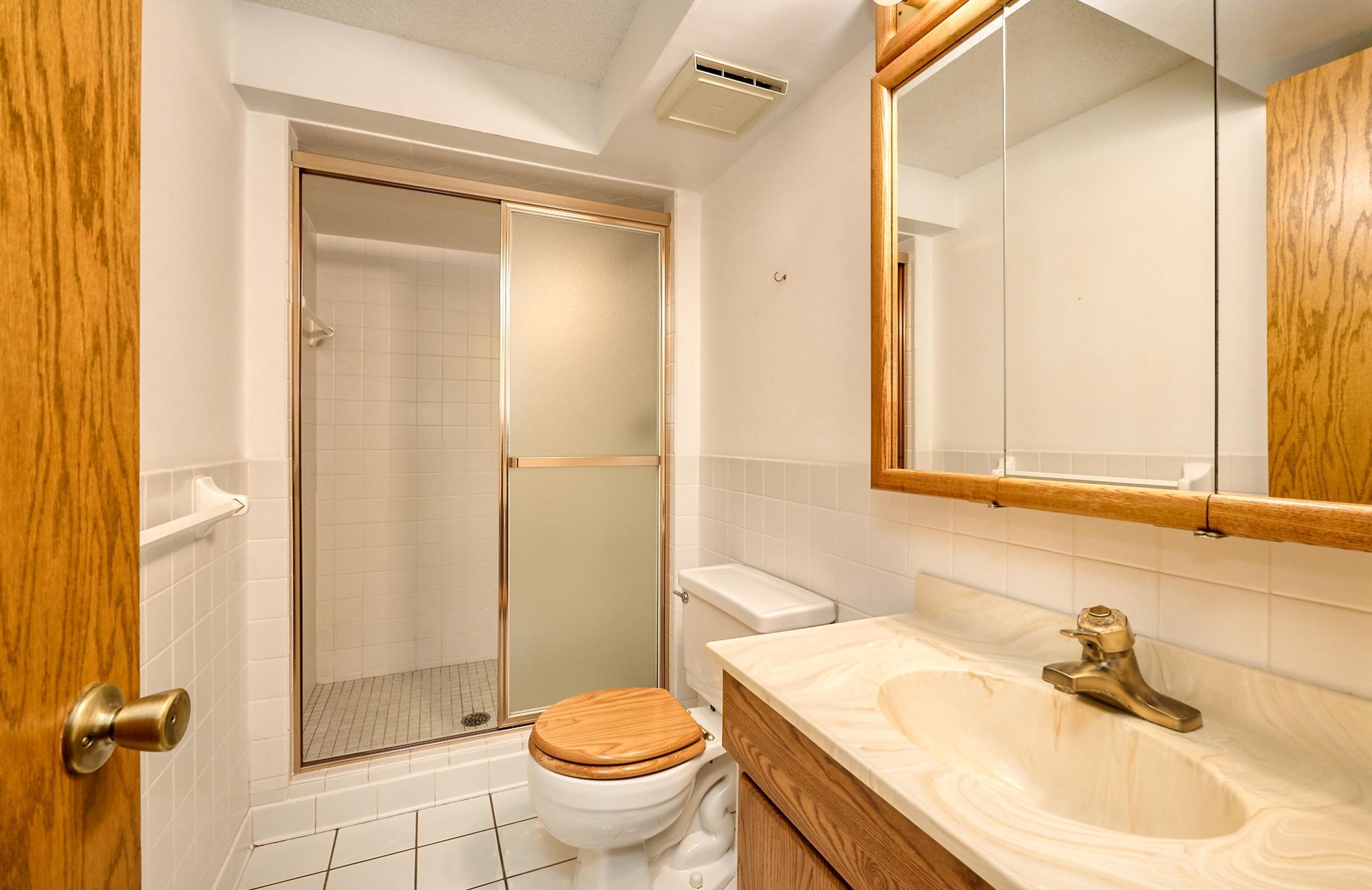 Lower Level Bathroom