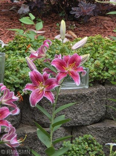 Wait until spring and see all the flowers/landscaping pop!