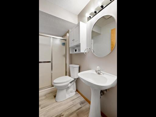 Lower level 3/4 bath with new flooring and toilet