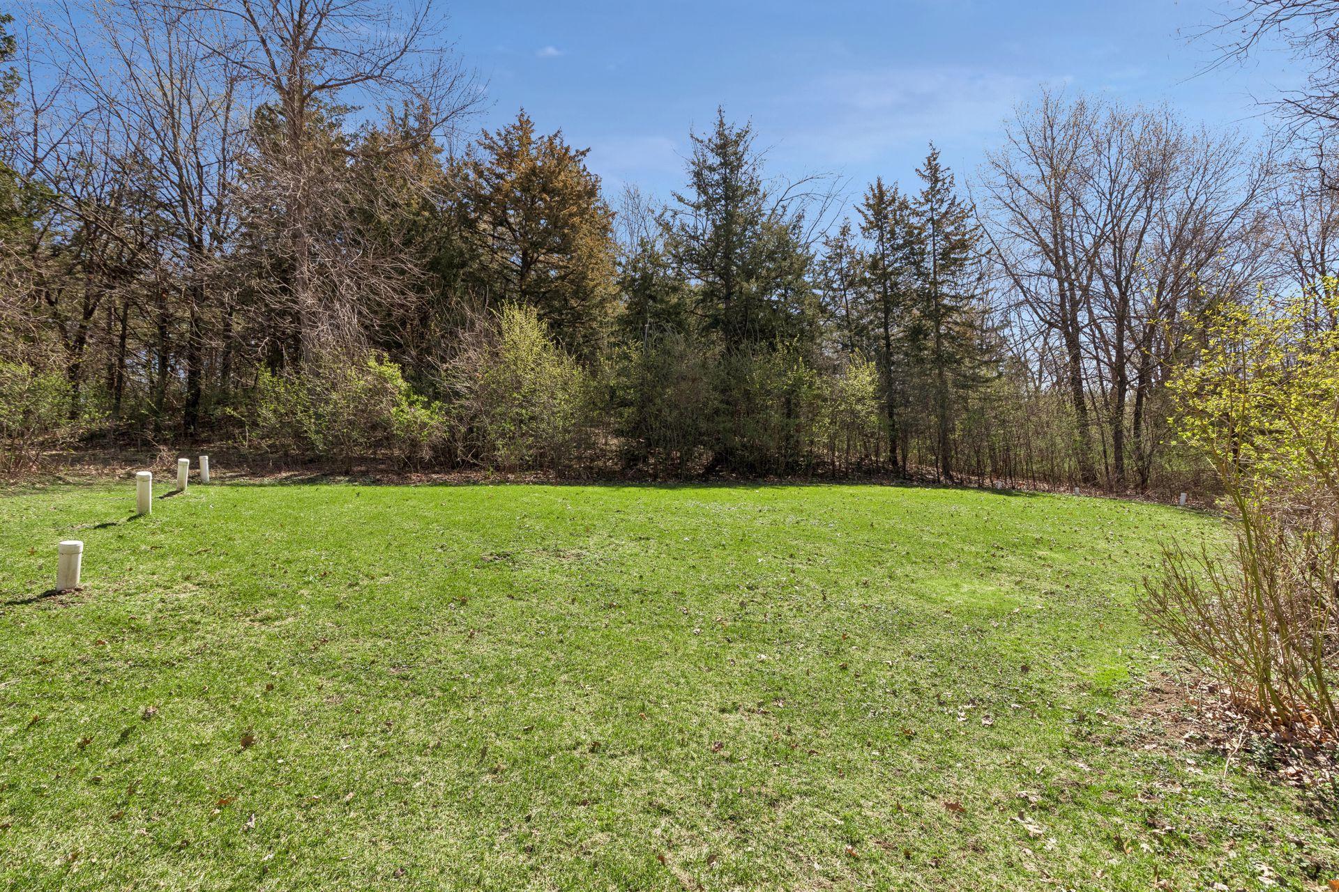 Green space outside of the fenced area. Lots of space to run, play & enjoy!