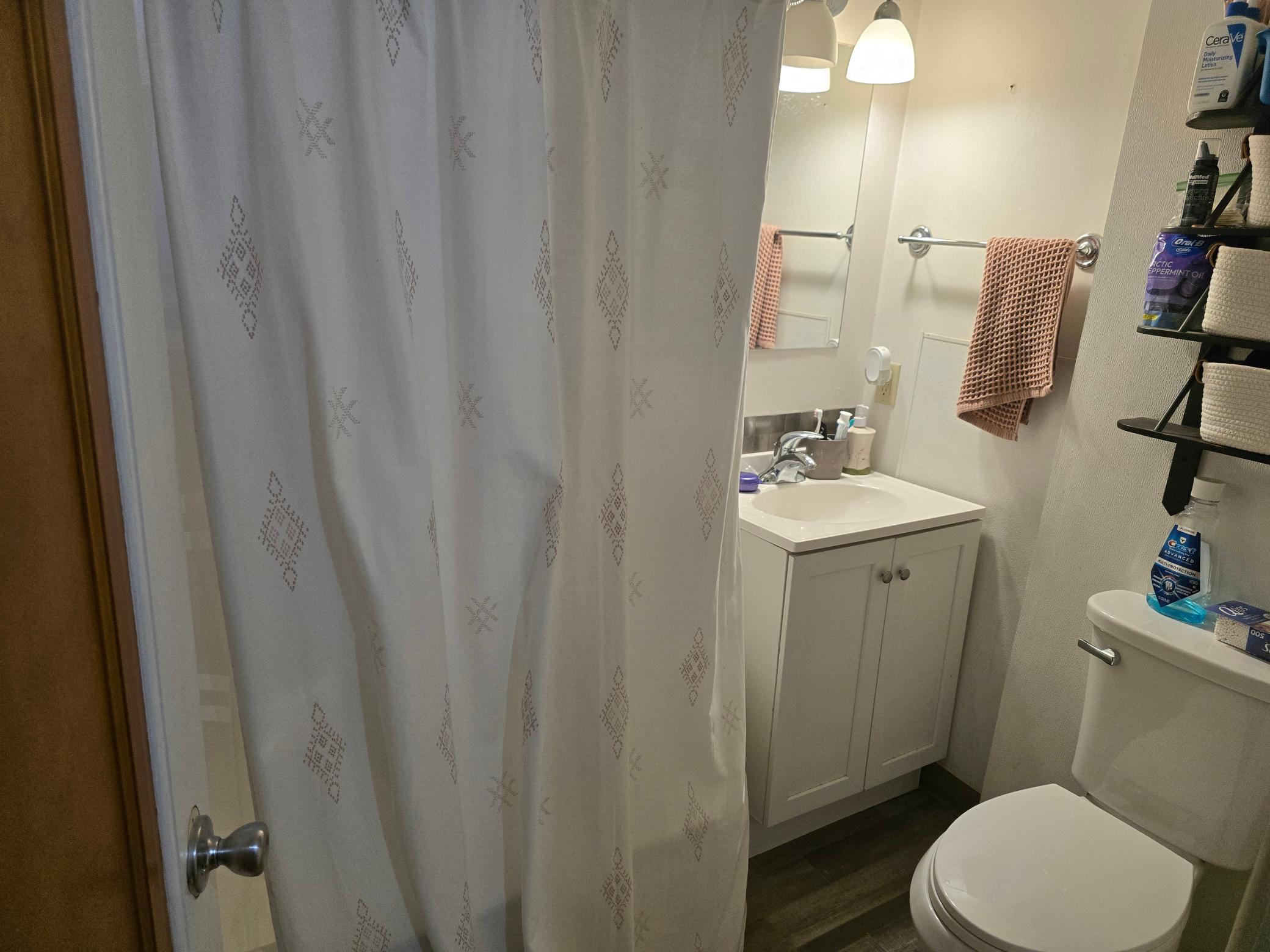 lower Bathroom