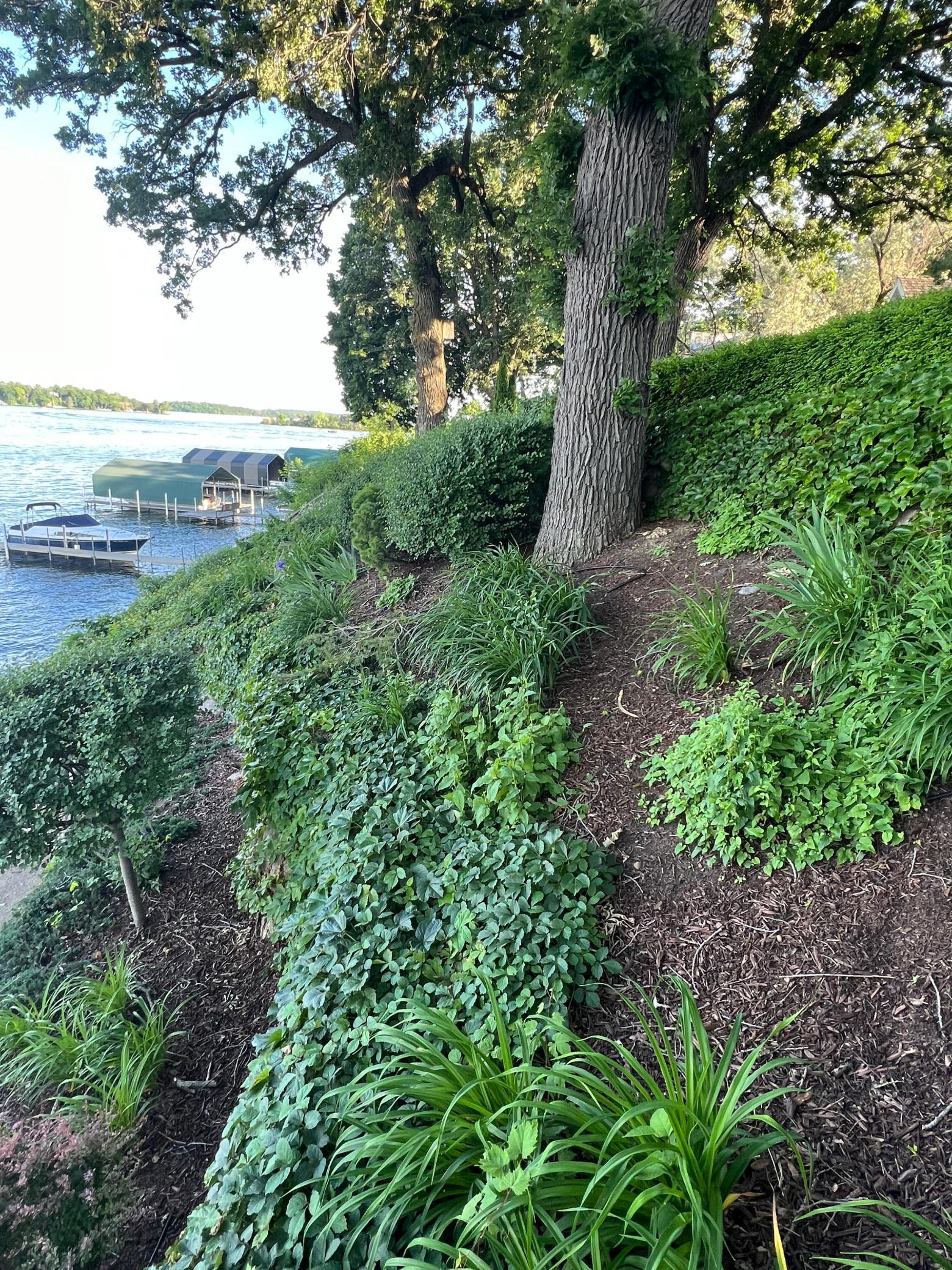 Lush perennials with a drip system fill in between the boulder retaining walls during the summer months.