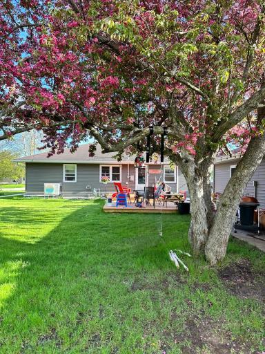 Backyard and deck