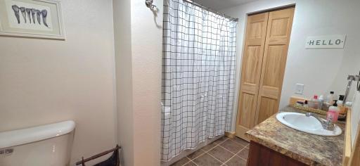 Lower level full bath
