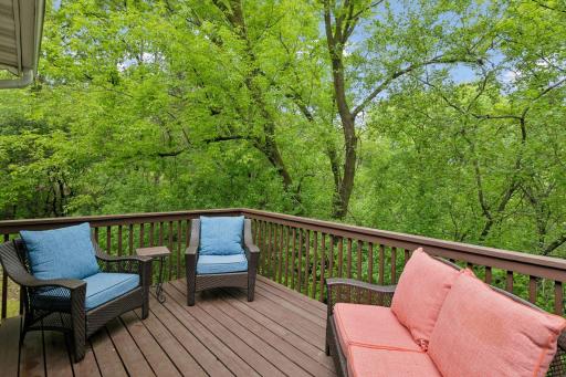 Private deck surrounded by mature trees and peaceful nature views. Perfect outdoor space for morning coffee, relaxing evenings, or entertaining guests while enjoying the wooded backyard setting.