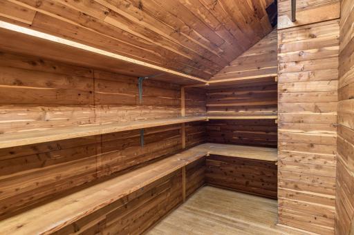 Spacious walk-in cedar closetâperfect for storing seasonal items