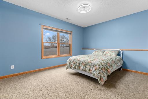 Lower Level Fourth Bedroom