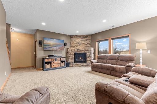 Lower level family room