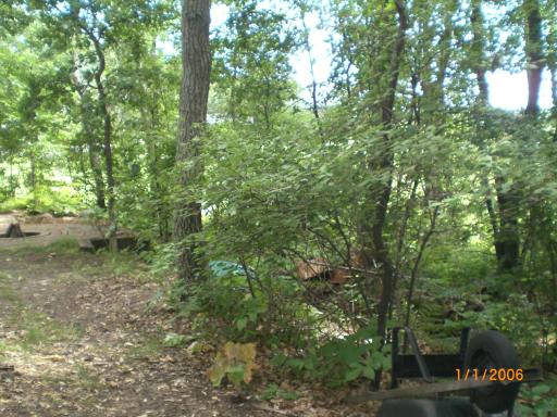 30208 Whitebirch Way, Pequot Lakes, MN 56472