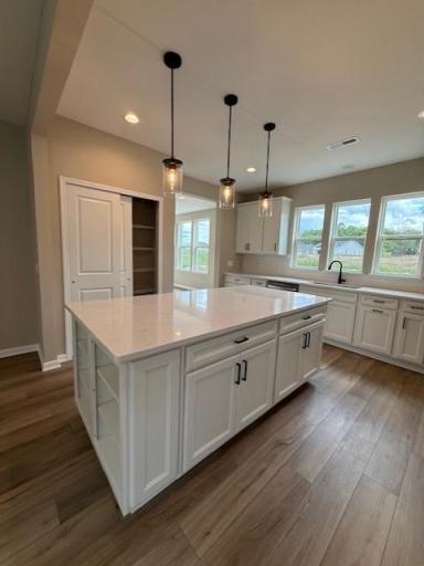 Central island offers additional prep space, seating, and storage, making it the heart of the home.