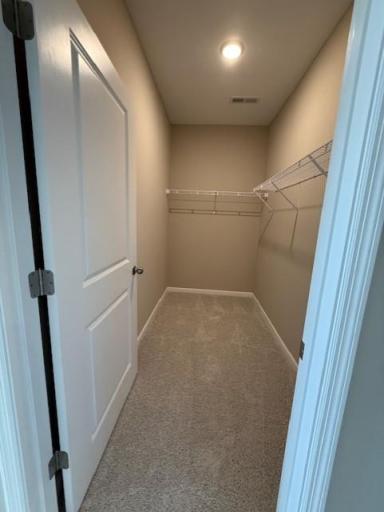 A large walk-in closet provides abundant storage and organization options, offering plenty of room for wardrobe essentials while keeping the space tidy and serene.
