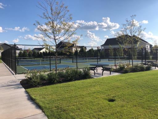 Pickle Ball.jpg