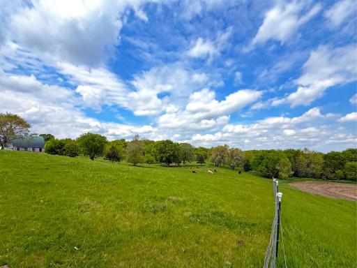 16002 State Highway 55 NW, South Haven, MN 55382