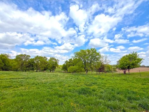 16002 State Highway 55 NW, South Haven, MN 55382