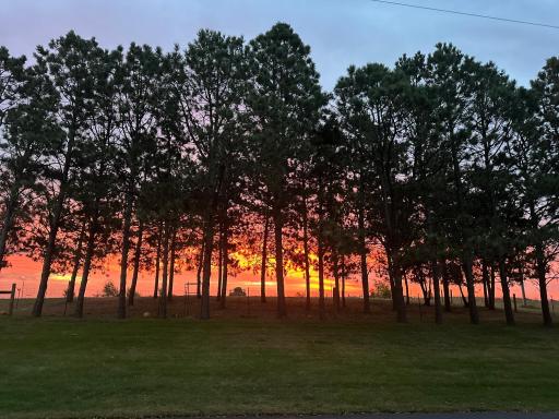 16002 State Highway 55 NW, South Haven, MN 55382