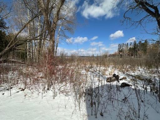 View across yard to Little Bowstring Lake