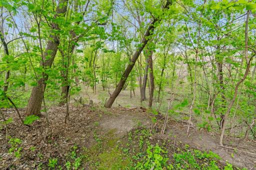 445 Bovey Road, Wayzata, MN 55391