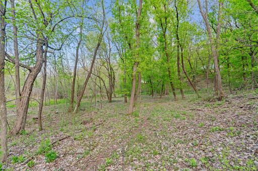 445 Bovey Road, Wayzata, MN 55391