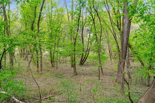 445 Bovey Road, Wayzata, MN 55391