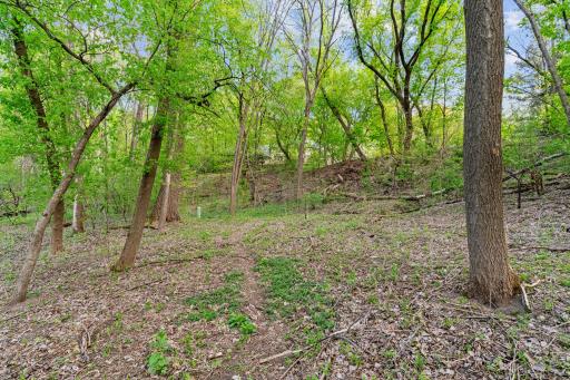 445 Bovey Road, Wayzata, MN 55391