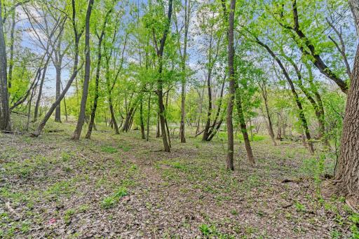 445 Bovey Road, Wayzata, MN 55391