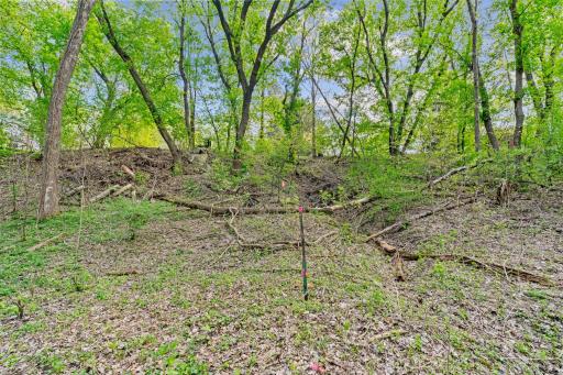445 Bovey Road, Wayzata, MN 55391