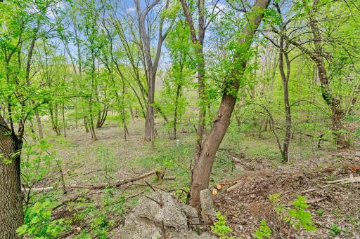 445 Bovey Road, Wayzata, MN 55391