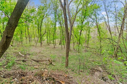 445 Bovey Road, Wayzata, MN 55391